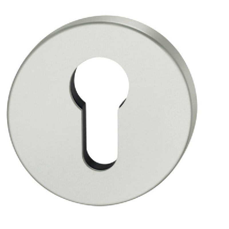 FSB ASL Escutcheons D55mm Euro AA Slv